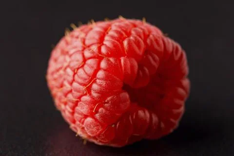 One fresh raspberry closeup on a black background isolated. Tip of raspberry Stock Photos
