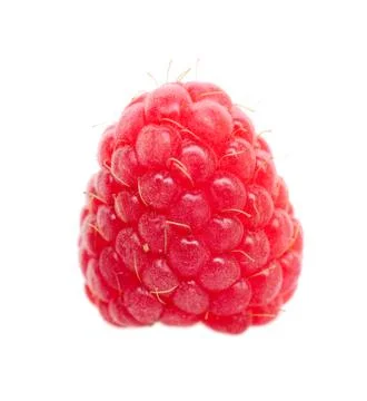 One fresh raspberry Stock Photos