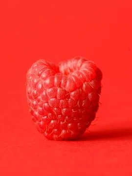 One fresh raspberry Stock Photos