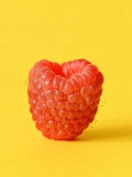 One fresh raspberry Foto stock