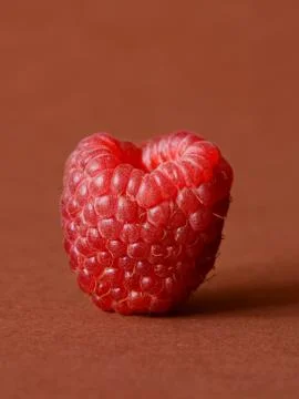 One fresh raspberry Stock Photos