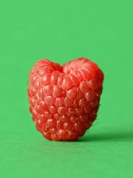 One fresh raspberry Stock Photos