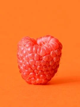 One fresh raspberry Stock Photos