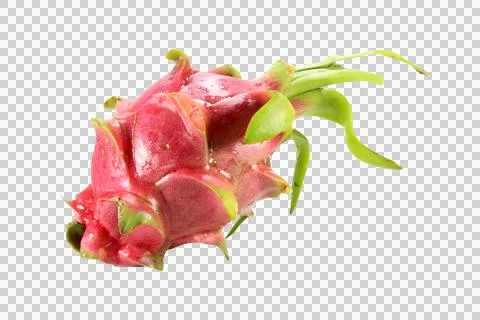 One fresh red dragon fruit isolated on white background. Stock Photos