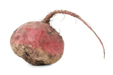 One fresh ripe beetroot isolated on white Stock Photos