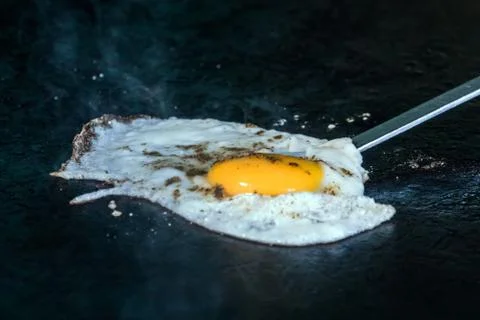 One fried egg Stock Photos