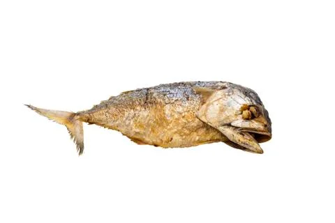 One fried mackerel on a white background with Clipping Path. Stock Photos