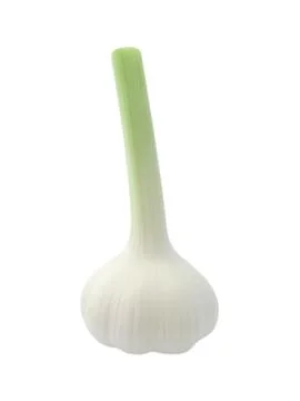 One garlic isolated on white background. Stock Photos