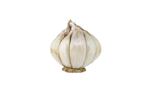 One garlic Stock Photos