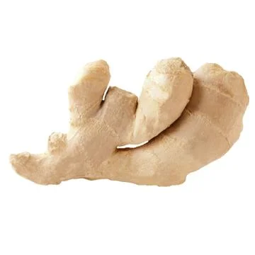 One ginger root isolated on white background Foto stock