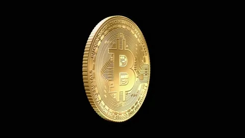 One gold bitcoin rotating on a black background Stock Footage 223789405