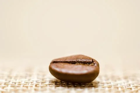 One grain of coffee on a matting macro Stock Photos