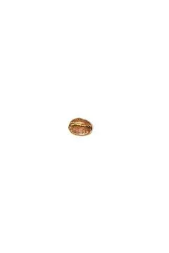One grain of coffee on a white background. Isolate. Lifestyle Stock Photos