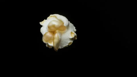 One grain of popcorn rotates on a black background. Stock Footage 221541150