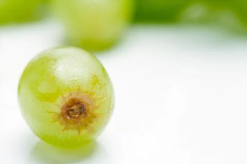 One Green Grape Fotos Stock