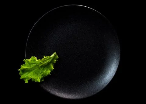 One Green Leaf Of Lettuce Stock Photos