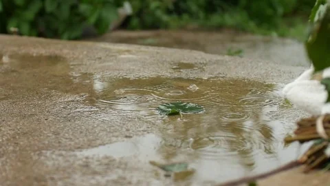 One green leaf in a pool of water under a warm summer rain. slow motion Stock Footage 77875908