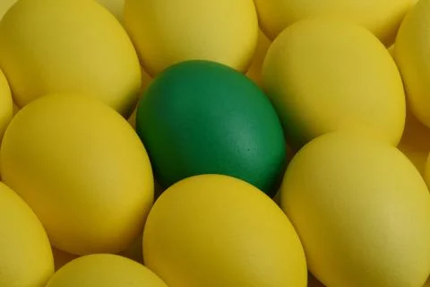 One green painted Easter egg lies between the yellow eggs. Foto stock