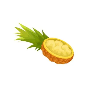 One half of cut lengthwise pineapple with flesh inside. Tropical fruit with tuft Stock Illustration