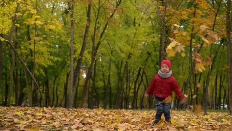 One happy funny child kid boy walking in park enjoying autumn fall nature Stock Footage