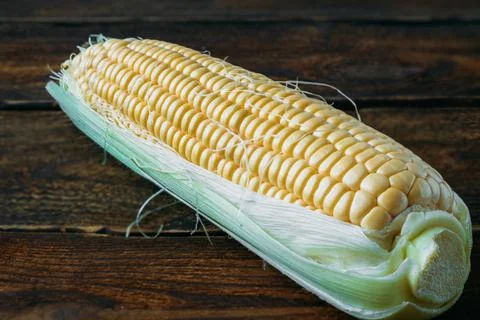 One head of raw corn closeup on a wooden table. 스톡 사진