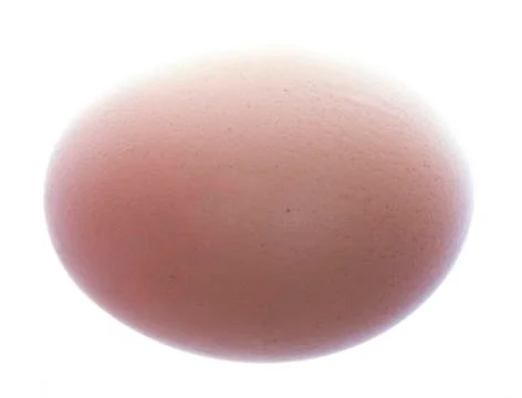 One hen's egg Foto stock
