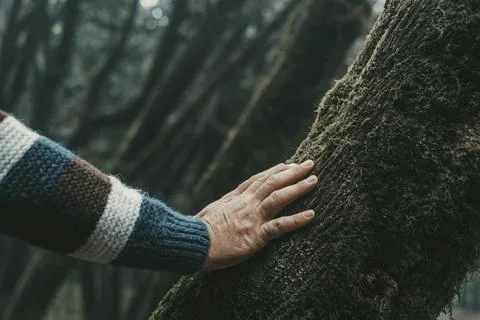 One human hand touching softly a tree trunk with musk. Concept of love natu.. Stock Photos