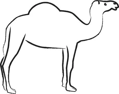 The one-humped camel or dromedary camel Stock Illustration