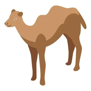 One humped camel standing isometric animal Stock Illustration