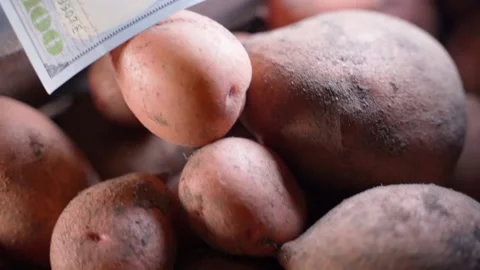 One hundred dollars on boxes with red potatoes, close-up. Price for export and Stock Footage 236710428