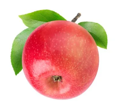 One isolated apple with stem Stock Photos