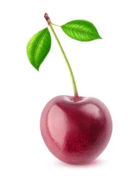One isolated cherry Foto stock