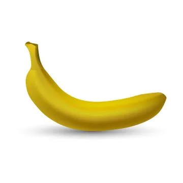 One isolated colored realistic whole yellow color single banana with shadow o Stock Illustration