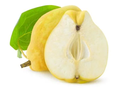One Isolated quinces Stock Photos