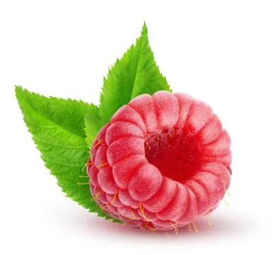 One isolated raspberry with leaves Foto stock