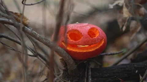 One Jack-o-lantern carved pumpkin looks outdoors close up. Candle burning inside 스톡 동영상 139200575