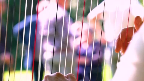 One Lady is Gently Playing Harp, Slow Motion, Close Up Video stock 161129576