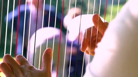 One Lady is Playing Harp Gently, Slow Motion, Close Up Stock Footage 161129585