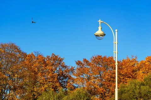One lamppost in the park Stock Photos