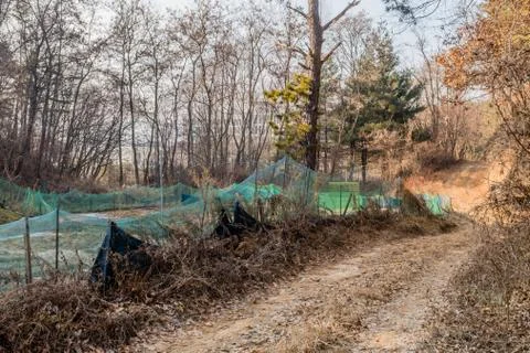 One lane dirt road Stock Photos