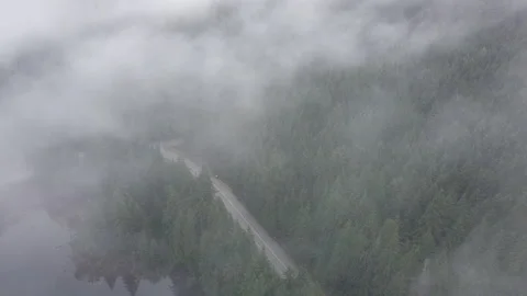 One lane road in the middle of the forest. Early morning in British Columbia Stock Footage 138071202
