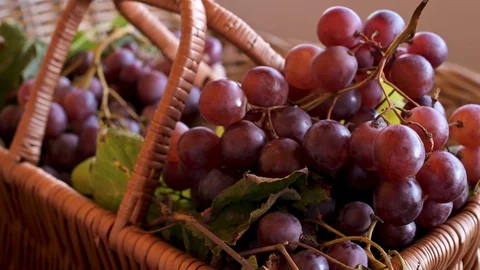 One large bunch of grapes close-up and a lot of grapes in a basket. Stock Footage 117467969