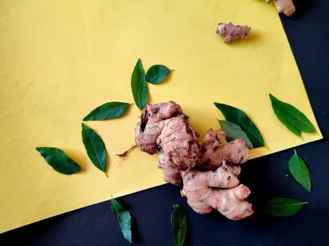 One Large piece of Ginger surrounded with curry leaves on a yellow background Stock Photos