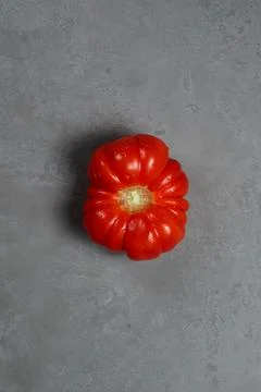 One large red fluted tomato unusual shape, red and yellow, laid out in a line on Stock Photos