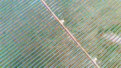 One of the largest solar power plants in Europe Stock Footage 130971476