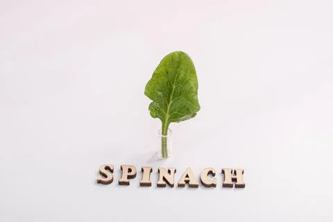 One leaf of spinach close-up in a small glass bottle. Stock Photos