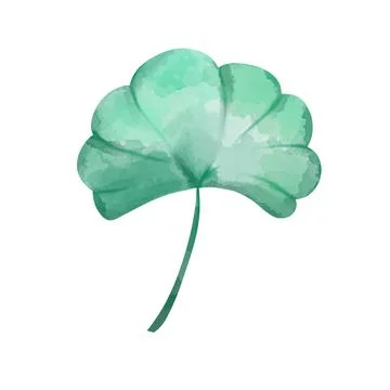One leaf on white background, watercolor illustration Stock Illustration