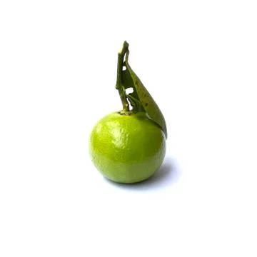 One lemon. Stock Photos