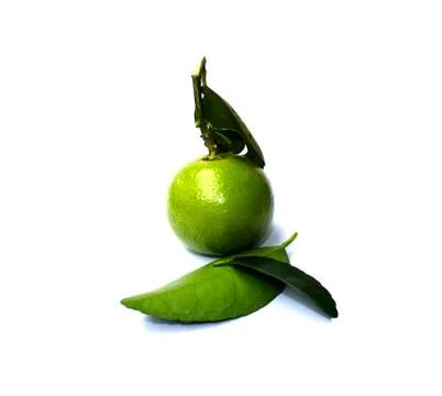 One lemon. Stock Photos