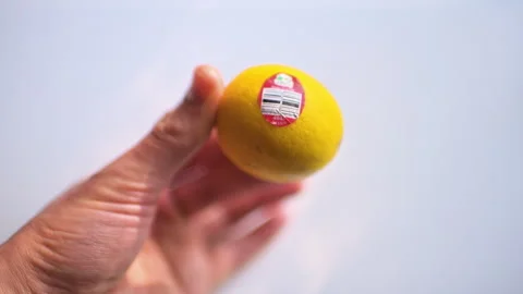 One lemon single citrus persian lime fruit hand holding macro closeup Vídeo Stock 330198785